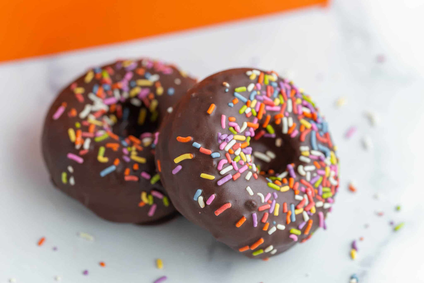 Chocolate Coated Chocolate Donut - KARMA BAKER WSTLK