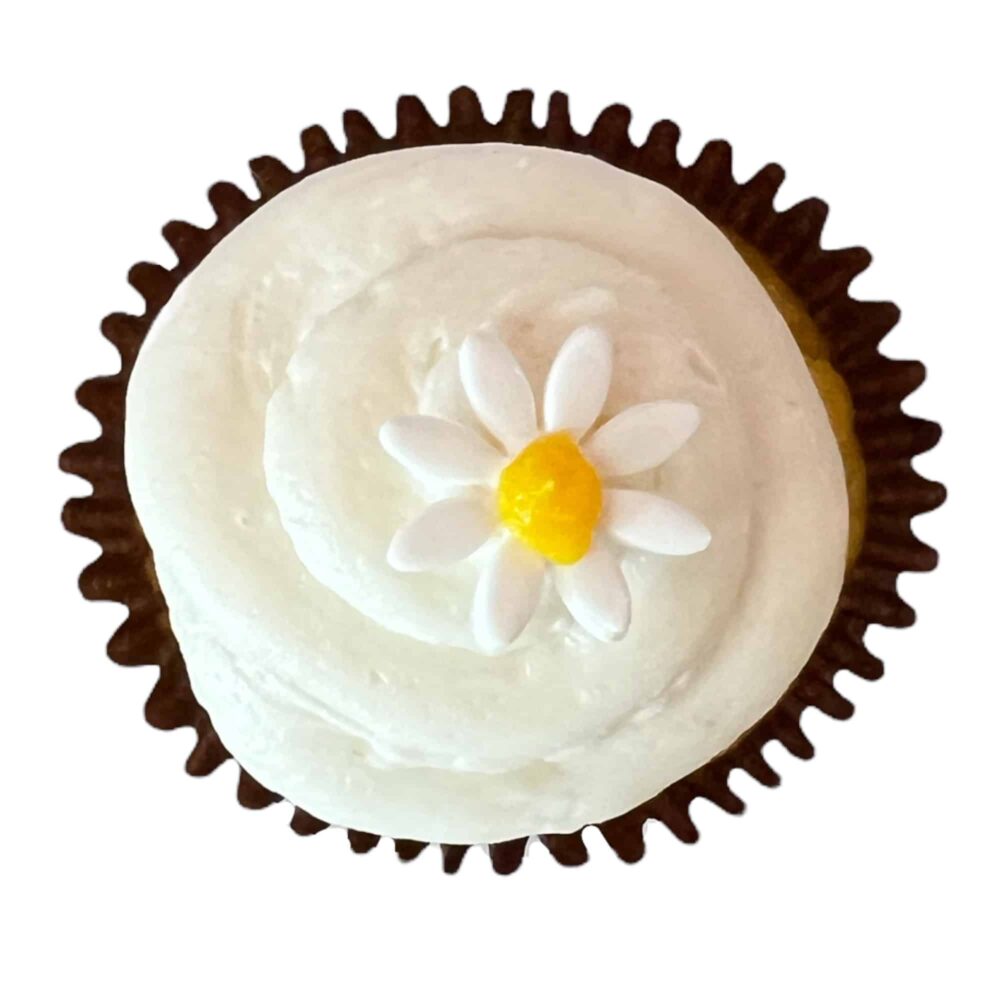 Lemonade Stuffed Cupcake Packs - KARMA BAKER WSTLK